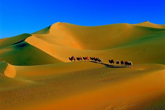 Kameltour in der Badain Jaran Wüste