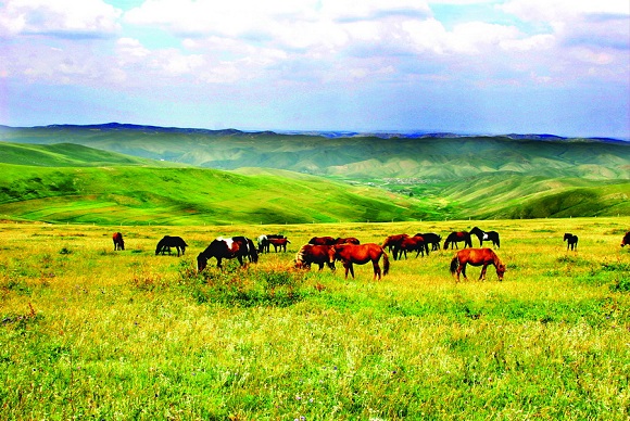 Zentralgebiet der Inneren Mongolei