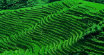 Landschaft